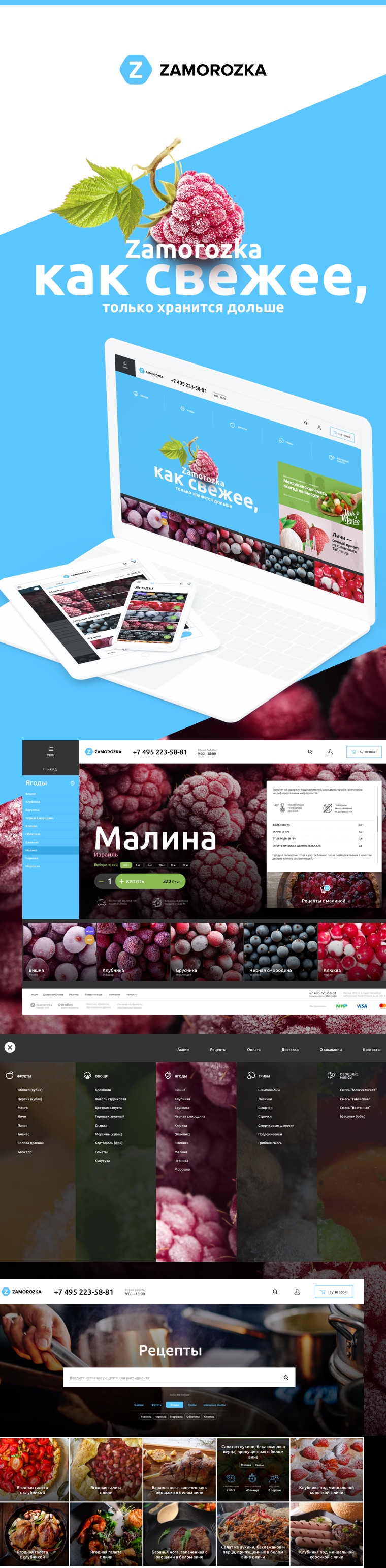 Эскиз проекта zamorozka.ru — интернет-магазин замороженной продукции